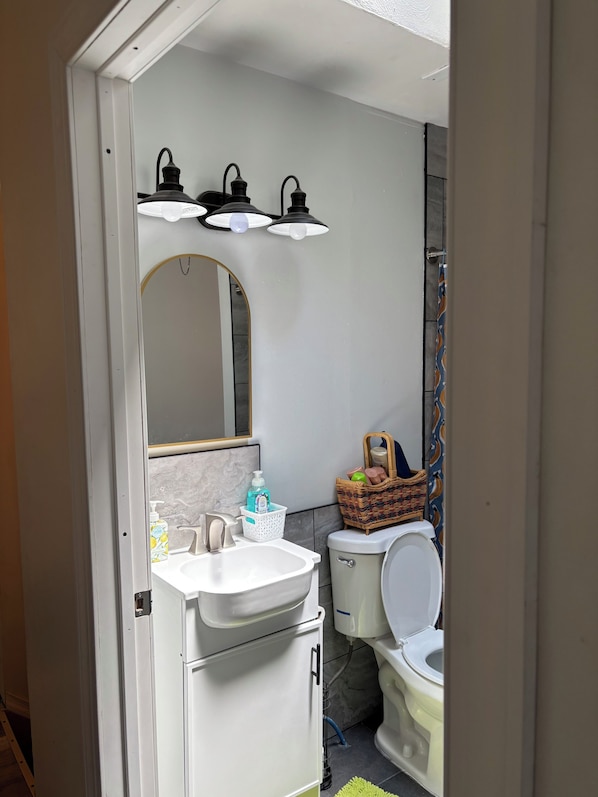 Shower, hair dryer, soap