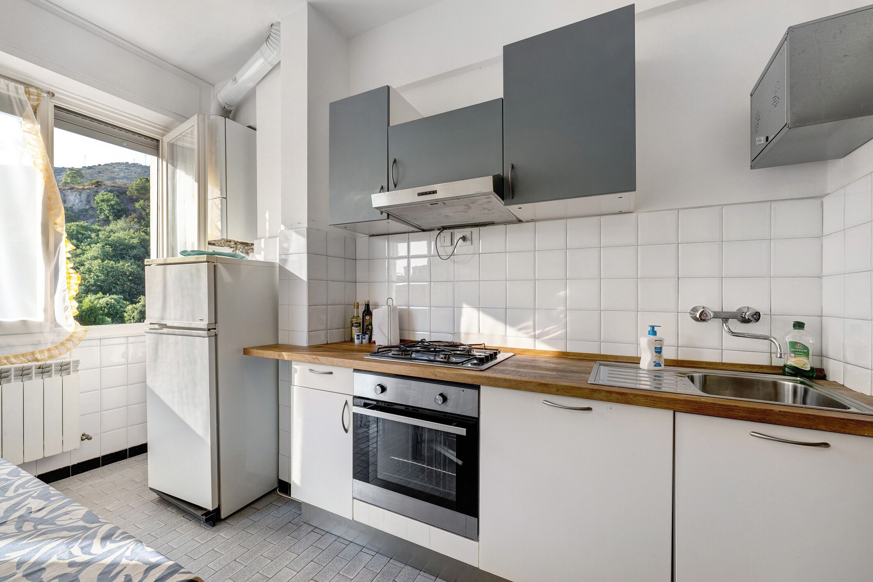 Fridge, oven, stovetop, dishwasher