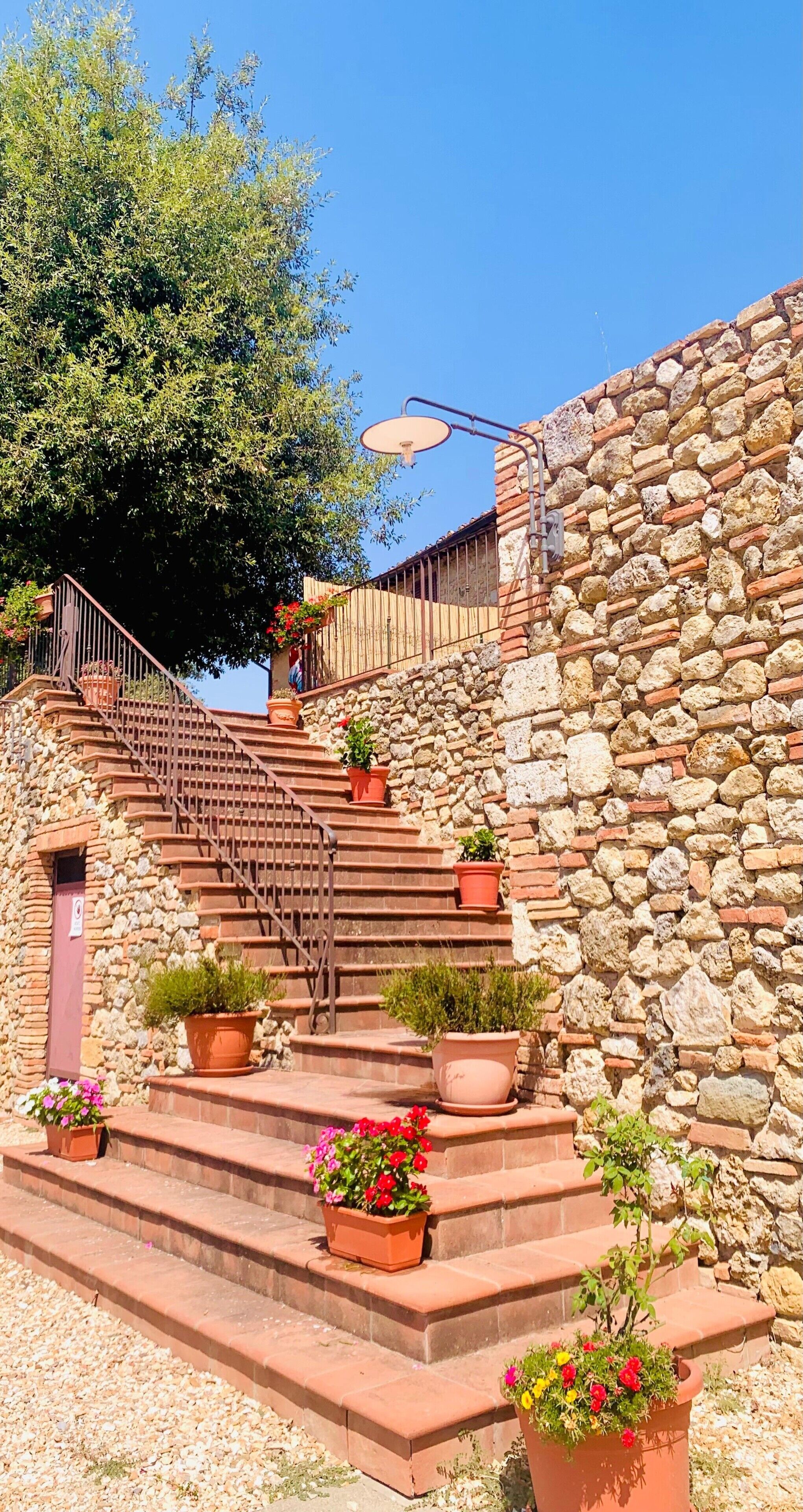 Un escalier en pierre menant à une porte en bois, avec des plantes en pot disposées sur les marches.