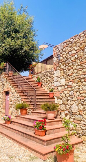 Una escalera de piedra que lleva a una puerta de madera, con macetas en los peldaños.