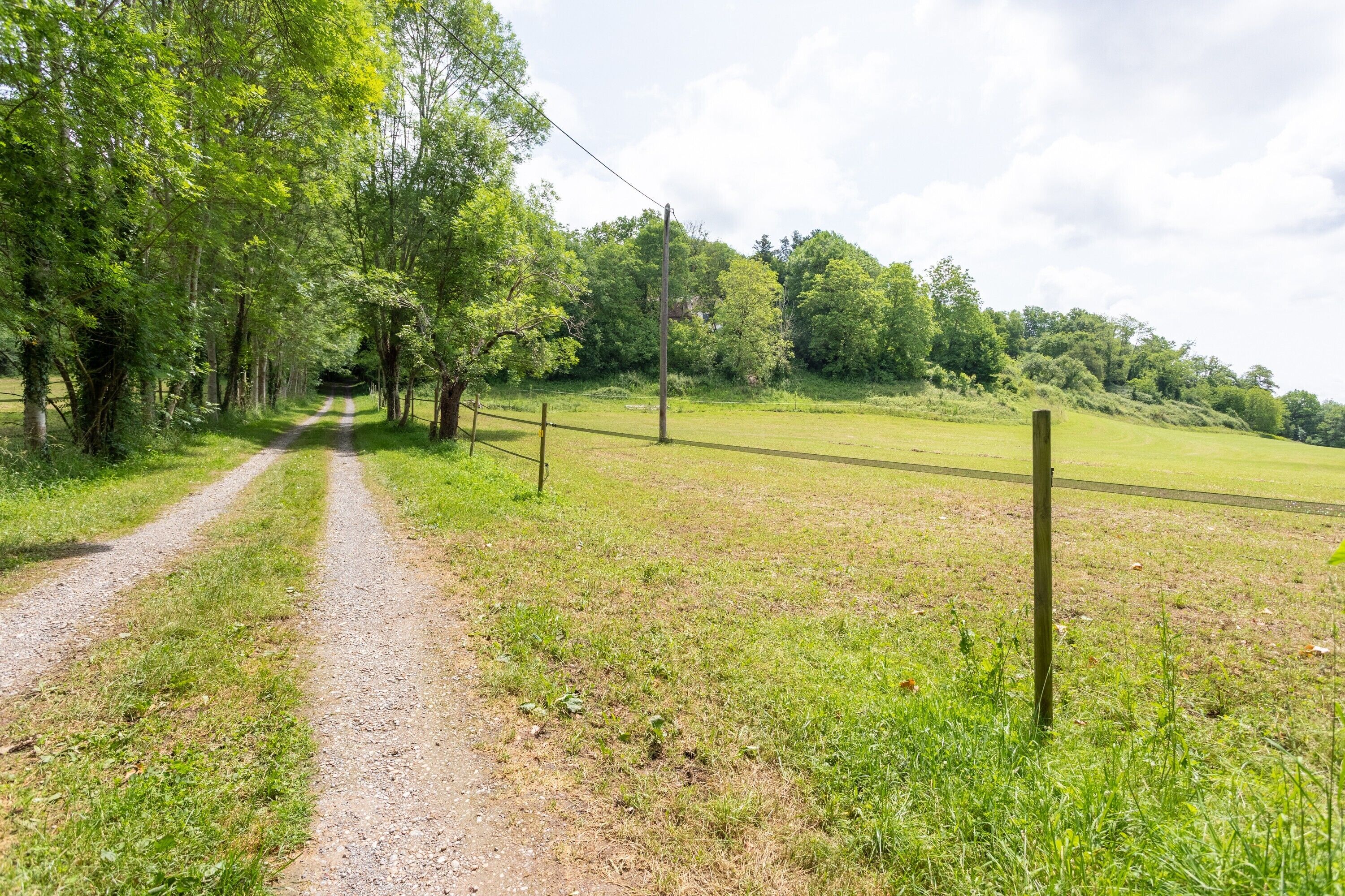 Een landweg van aarde, omzoomd door bomen en grasvelden.