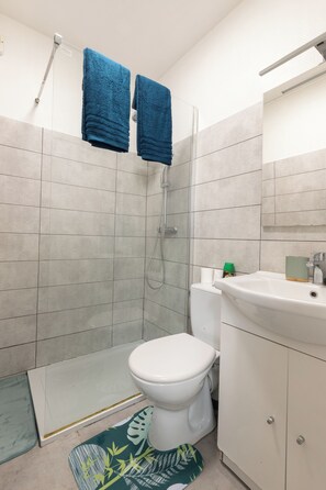Regadera, secadora de cabello, bidet, toallas 
