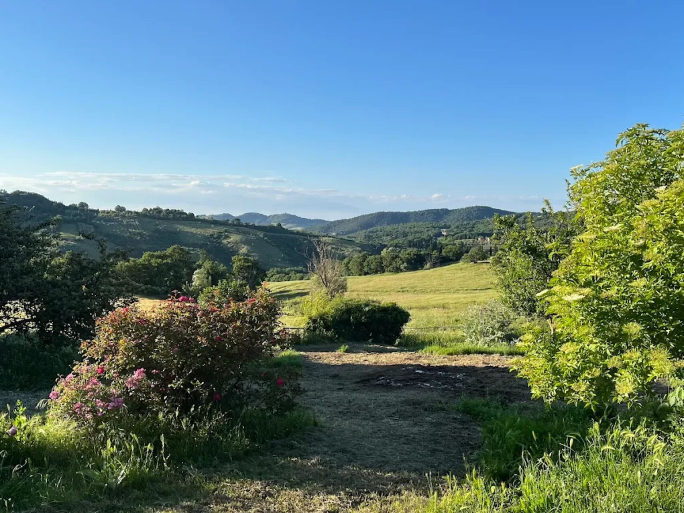 Un paysage rural caractérisé par des collines douces, un ciel dégagé et un chemin de terre.