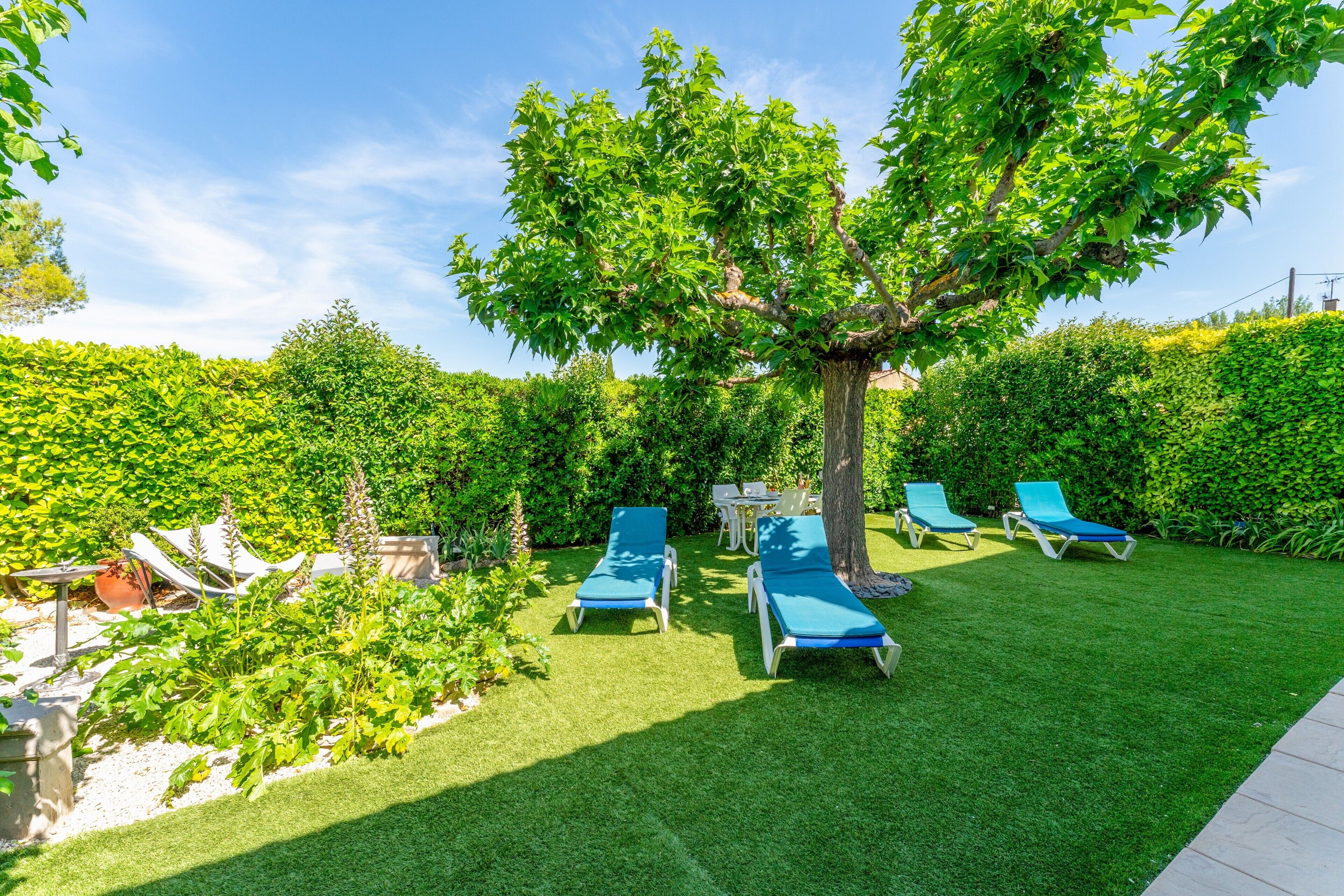 Un jardin avec un arbre, une pelouse verdoyante et des chaises longues bleues.