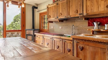 Kühlschrank, Mikrowelle, Herdplatte, Kochgeschirr/Geschirr/Besteck