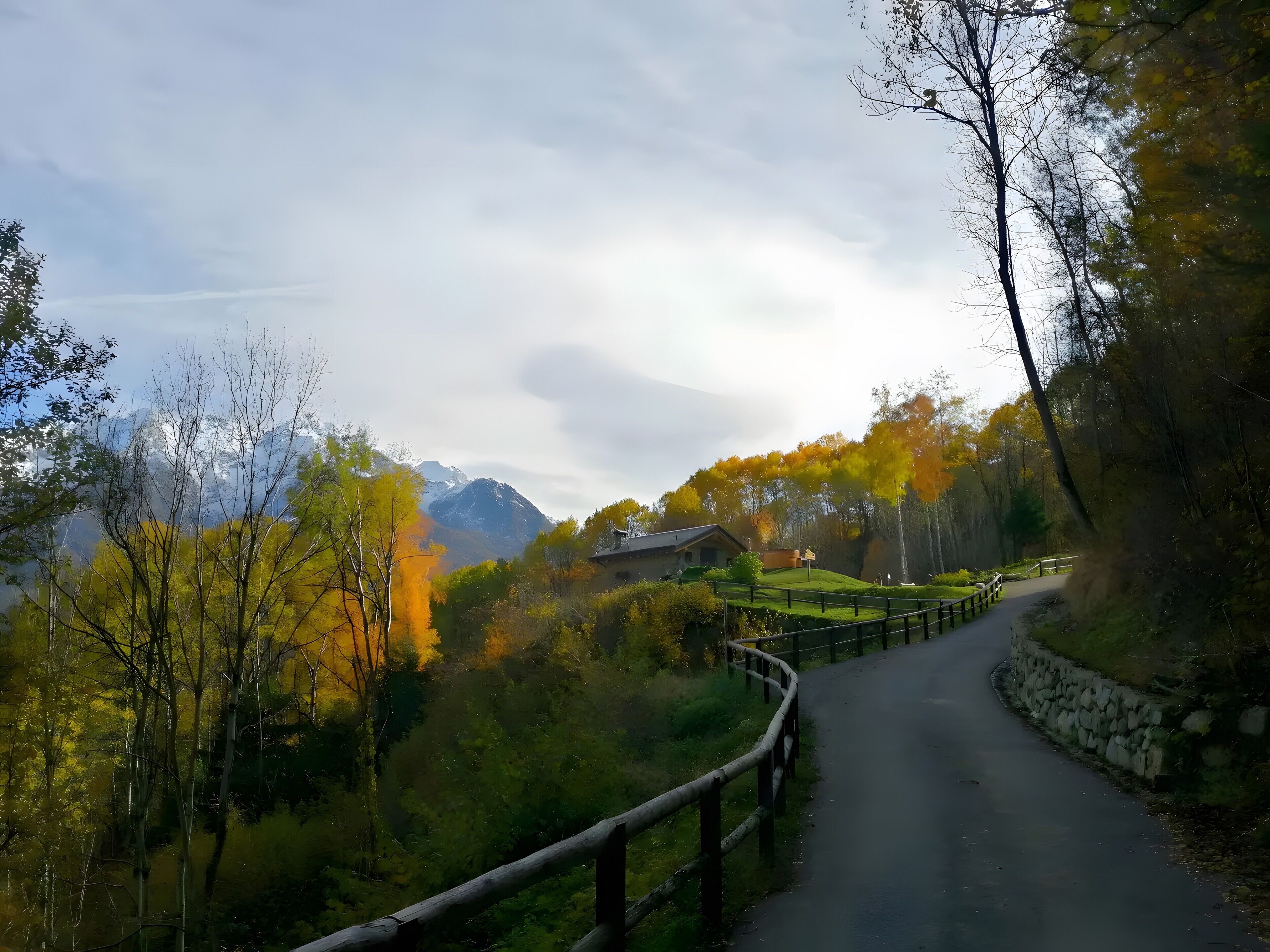 Una carretera sinuosa atraviesa un área boscosa, con una montaña al fondo.