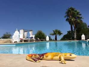 Pool - “Nomade” Guest Room with Shared Pool, Wi-Fi & Air Conditioning (Perpignan)