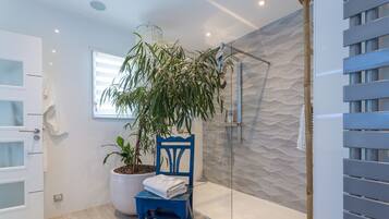 Shower, hair dryer, towels