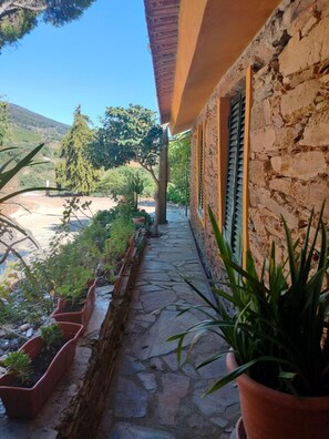 Property grounds - Country House 'Casa De Canelas - Refugio Terroir' with Mountain View, Wi-Fi and Air Conditioning (Açoreira)