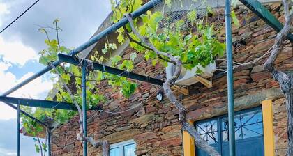 Country House 'Casa De Canelas - Refugio Terroir' with Mountain View, Wi-Fi and Air Conditioning