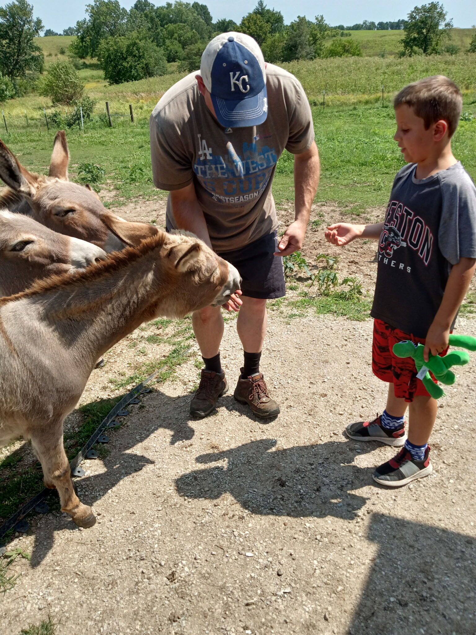 A man and a boy interacting with donkeys on a dirt path in a rural setting.