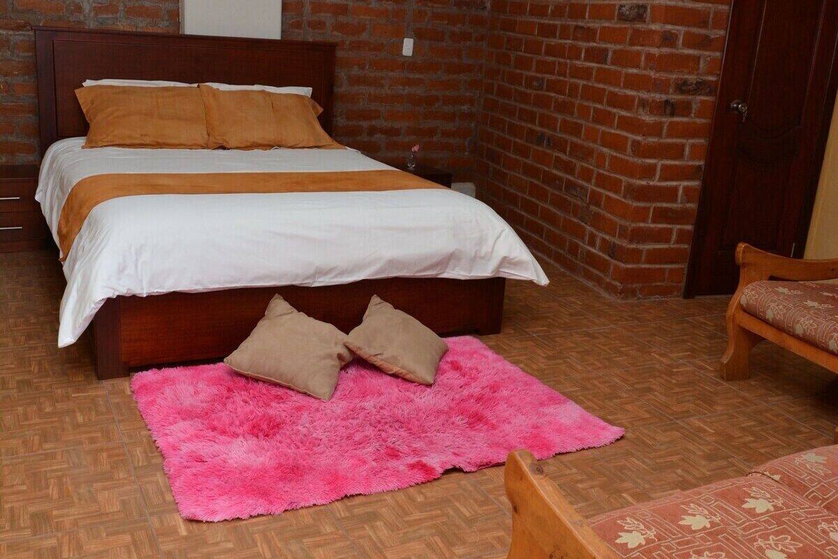 A bedroom with a brick wall, a wooden bed, a pink rug, and a wooden chair.