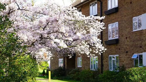Quiet apartment. Basingstoke Canal. Centre. Few steps to Woking Station.