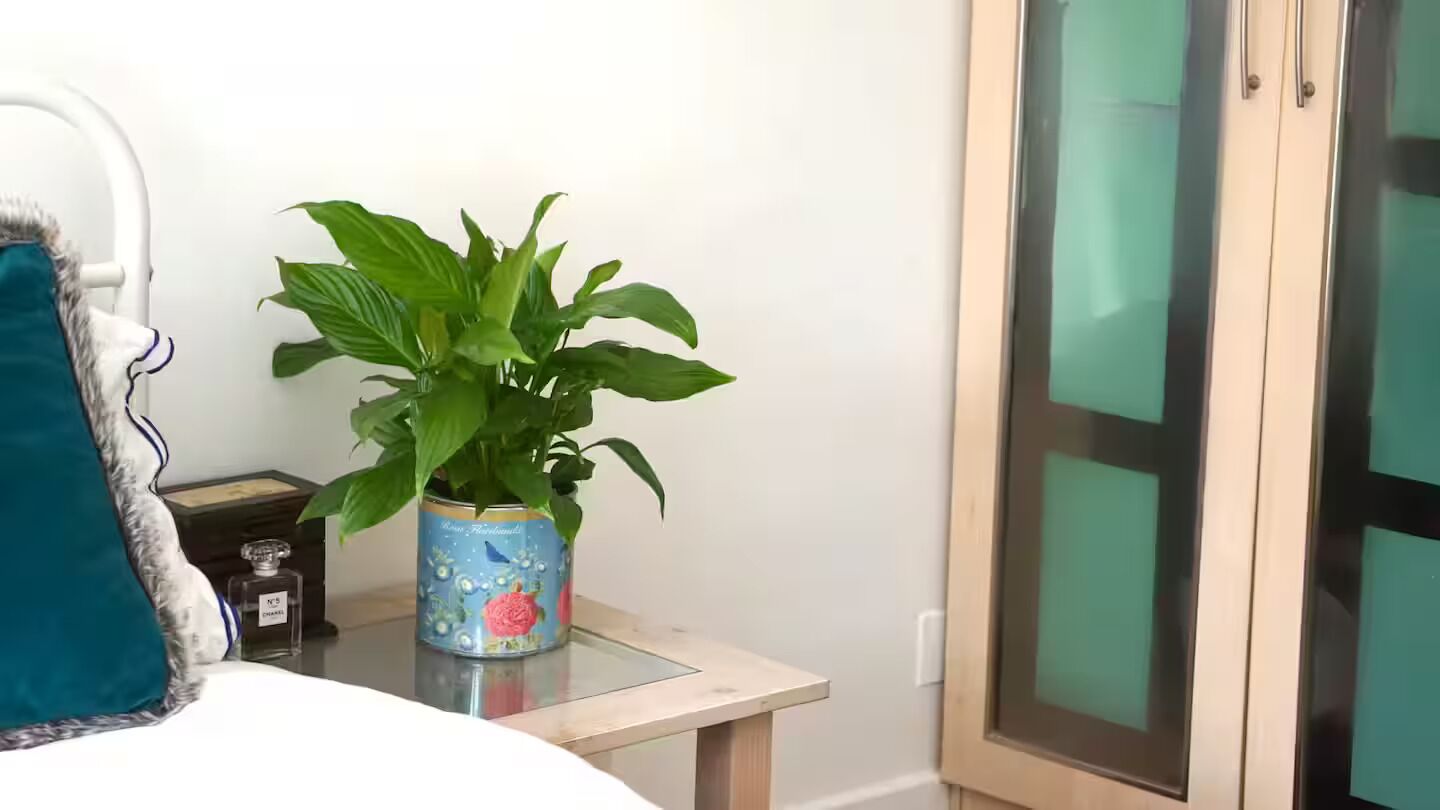 2 slaapkamers, een strijkplank/strijkijzer, gratis wifi, beddengoed