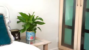 A room with a bed, a small table with a potted plant, a nightstand, and a cabinet.