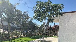Un césped bien cuidado con un camino de hormigón, rodeado de varios árboles y un edificio blanco.