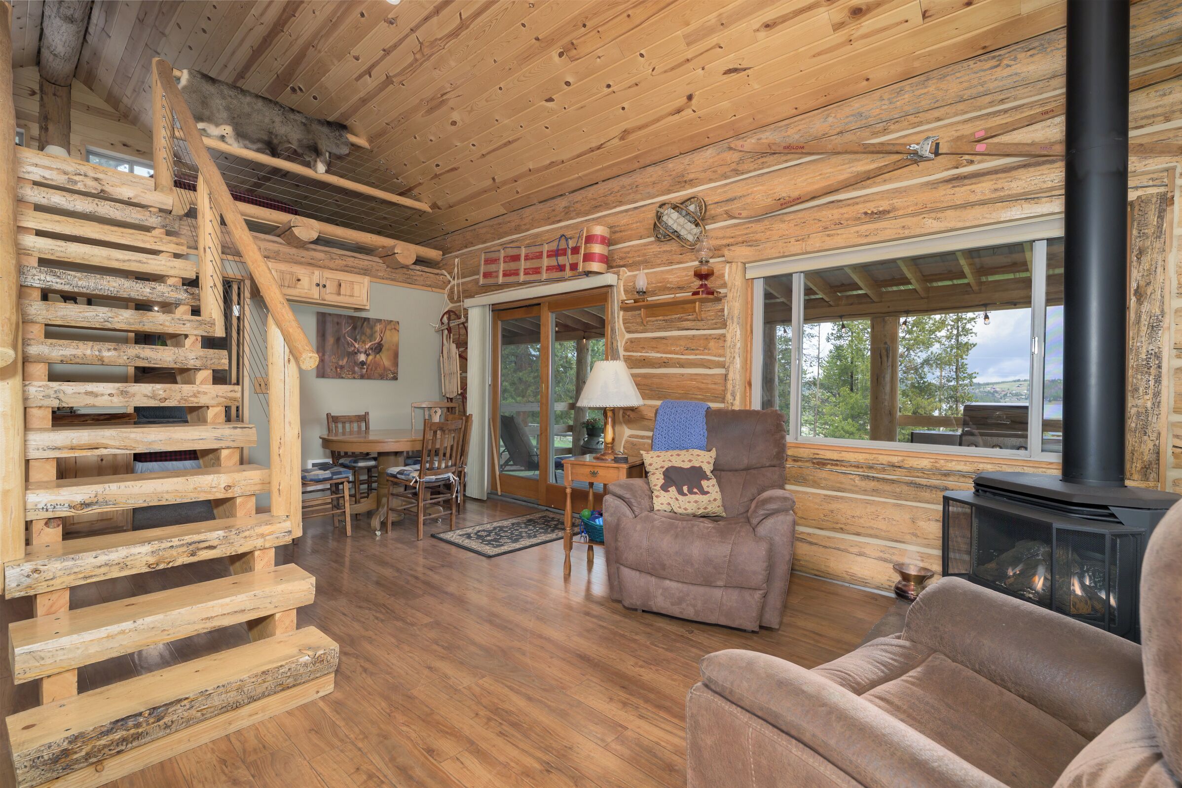 TV connectée, cheminée, lecteur de DVD, livres