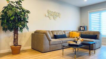 智能電視、書籍