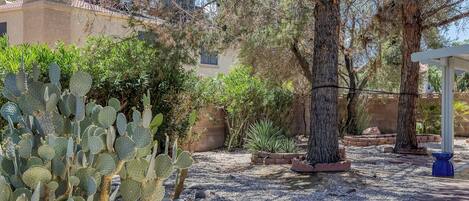 Área da propriedade