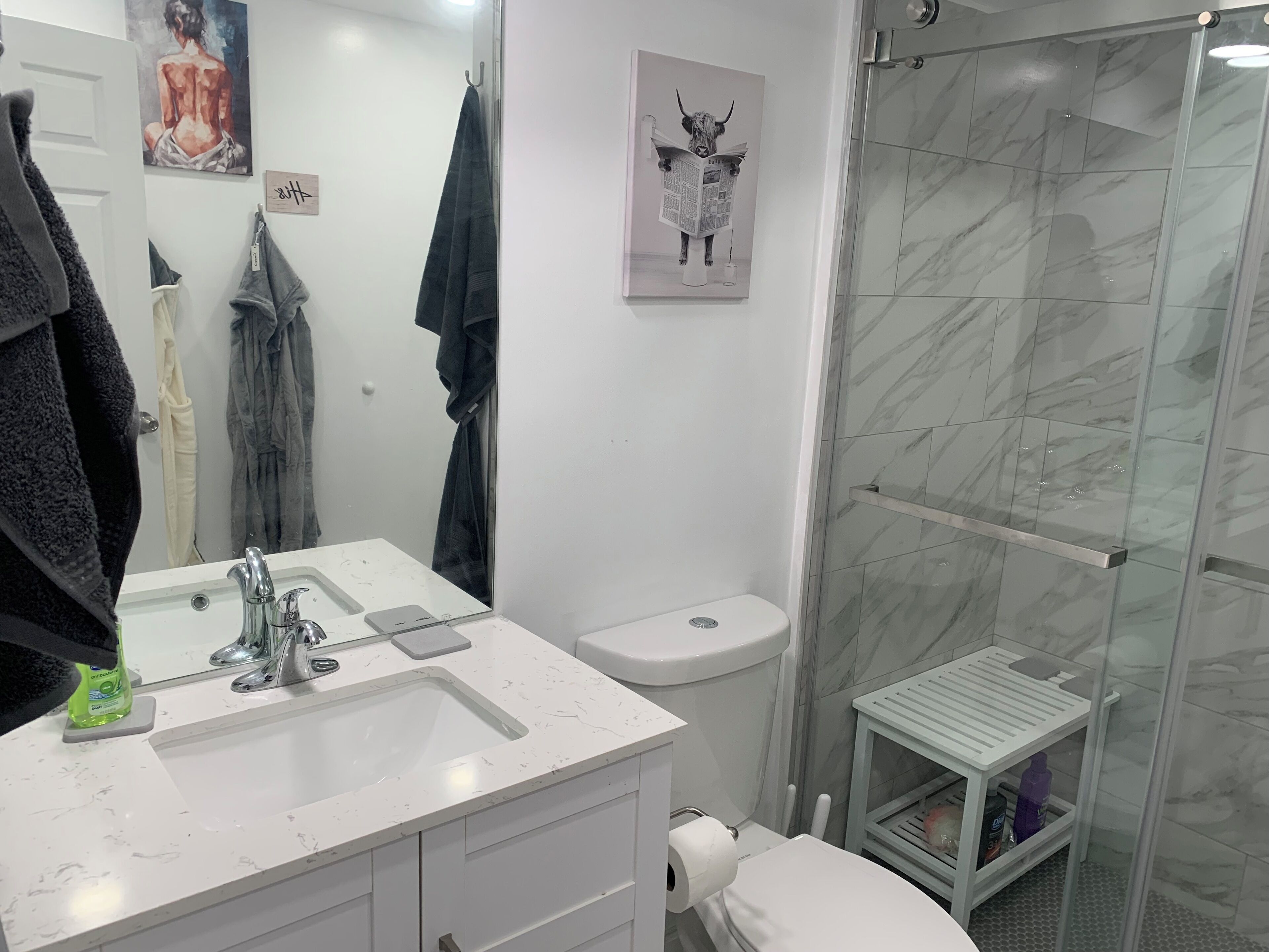 Hair dryer, towels, soap, toilet paper