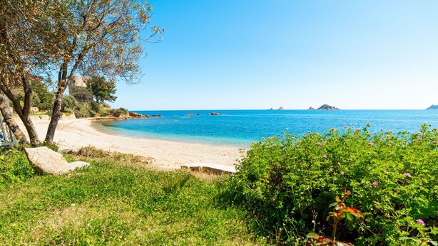 Une plage à l’eau d’un bleu limpide, bordée d’un rivage sablonneux et d’une végétation verdoyante.