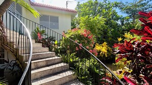 Una scala a chiocciola conduce a una casa con tetto in tegole, circondata da vegetazione lussureggiante e piante fiorite.