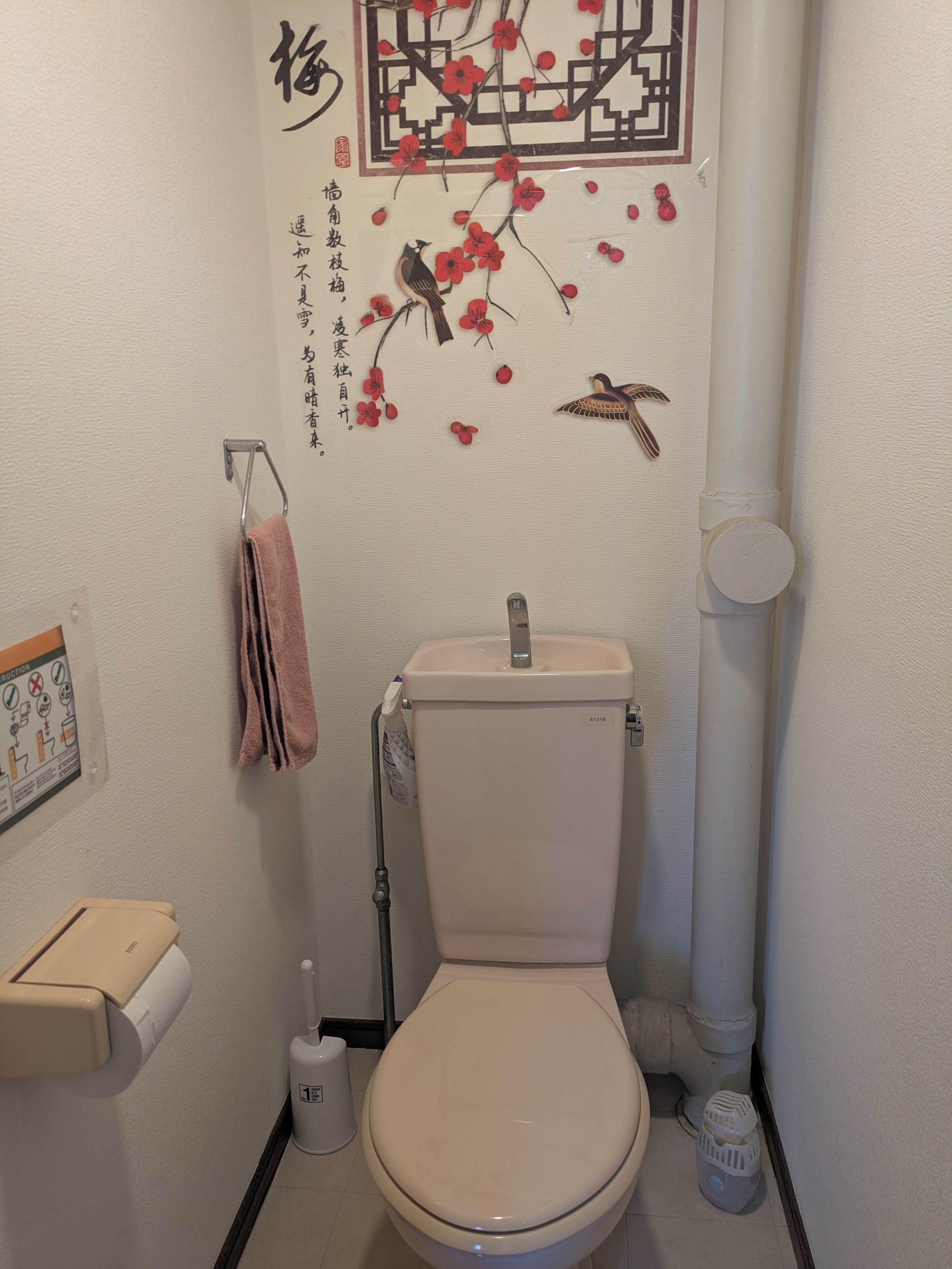 Haartrockner, Handtücher, Seife, Toilettenpapier