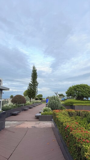A pathway leading through a landscaped area with various plants and trees.