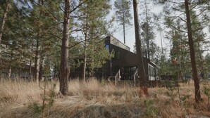 A modern house surrounded by tall pine trees.