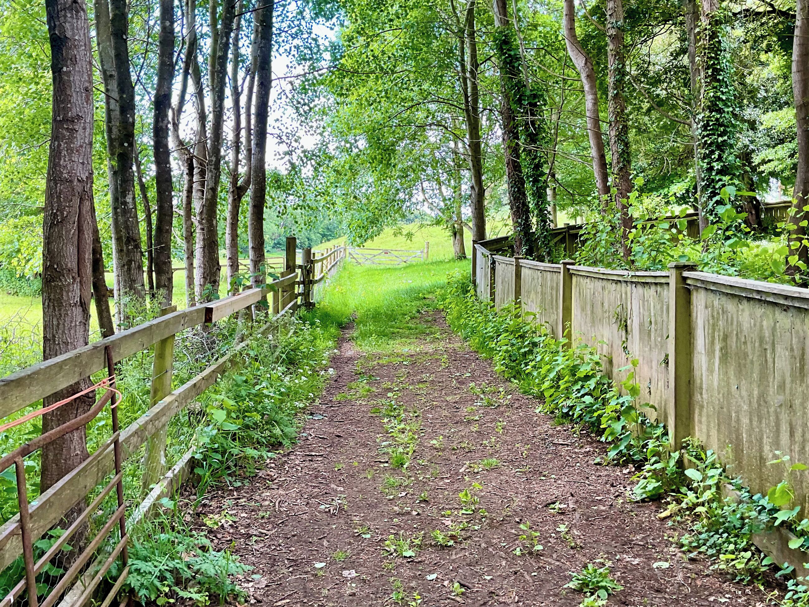 A forested path with a wooden fence on one side and a dirt trail leading into the distance.