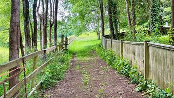 A forested path with a wooden fence on one side and a dirt trail leading into the distance.
