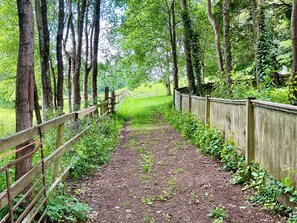 Un sentier bordé d’arbres, avec une clôture en bois d’un côté et un chemin de terre qui s’enfonce au loin.