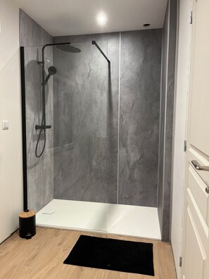 Shower, hair dryer, toilet paper