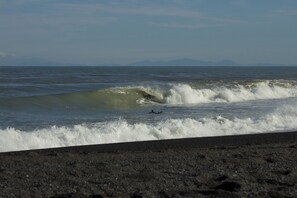 Beach - Family friendly bach – relax on the deck and soak in the ocean views (Cape Palliser)
