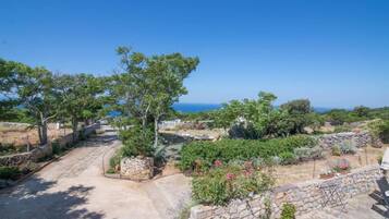 A garden with stone walls and various plants, a paved pathway, and a view of the sea.