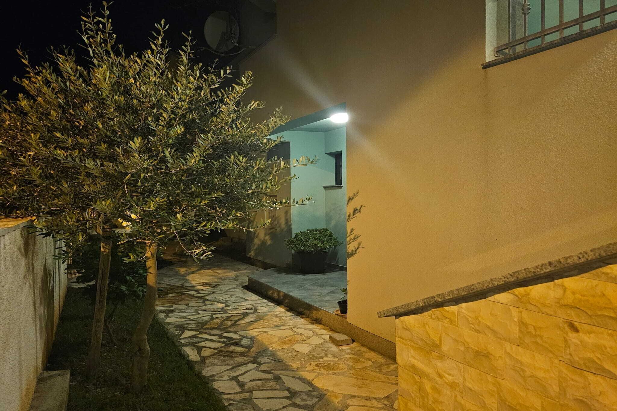 A stone pathway leading to a building entrance at night.