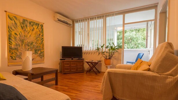 A room with a bed, a sofa, a TV, a plant, and a window with blinds.