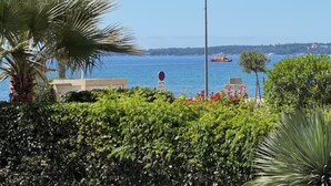 A coastal view with a clear sky, a palm tree, and a ship in the distance.