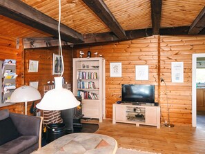 A cozy cabin interior with a fireplace, bookshelves, a television, and a sofa.