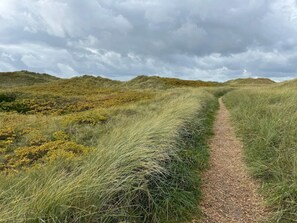 Un sendero de tierra estrecho que atraviesa un paisaje cubierto de hierba, con colinas onduladas al fondo.