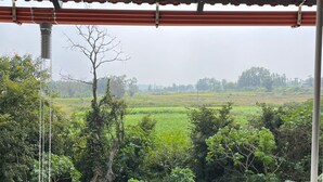 Une vue depuis une fenêtre, avec un plafond orné de motifs et un paysage verdoyant composé de champs et d’arbres.