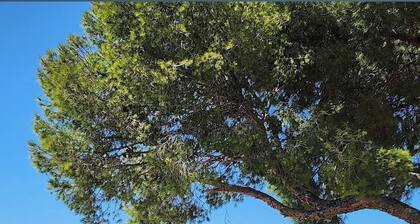 Villa vacances au calme prĂšs de la frontiĂšre espagnole et de la mer !