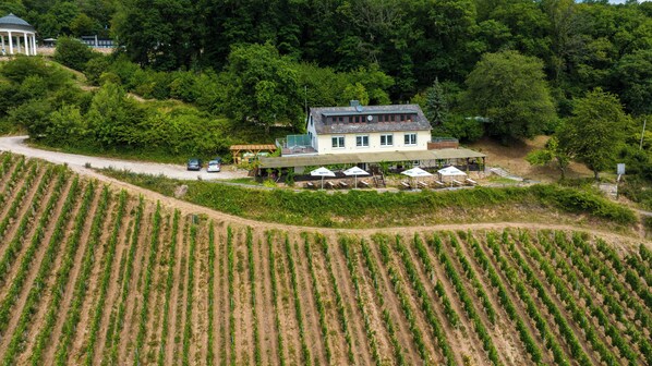 Exterior - The Rebenhaus - with a sensational view of the Rhine Valley. Apartment for 2 (Rüdesheim am Rhein)