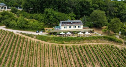 The Rebenhaus - with a sensational view of the Rhine Valley. Apartment for 2