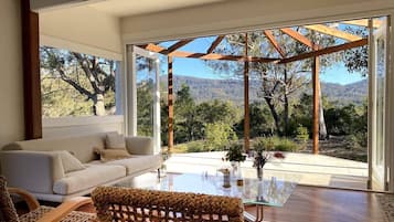 智能电视、壁炉、书、立体声音响