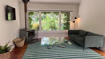 智能电视、壁炉、书、立体声音响