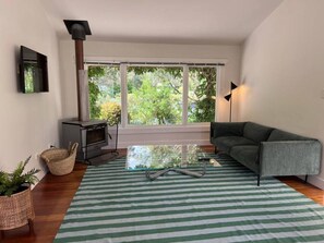 تلفزيون ذكي، مدفأة، كُتُب، ستيريو