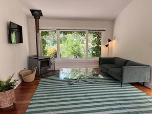 TV connectée, cheminée, livres, chaîne hi-fi