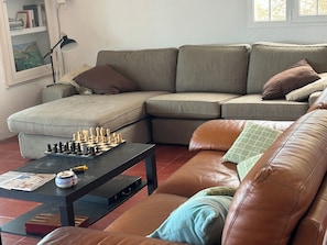 TV, fireplace, ping pong, books