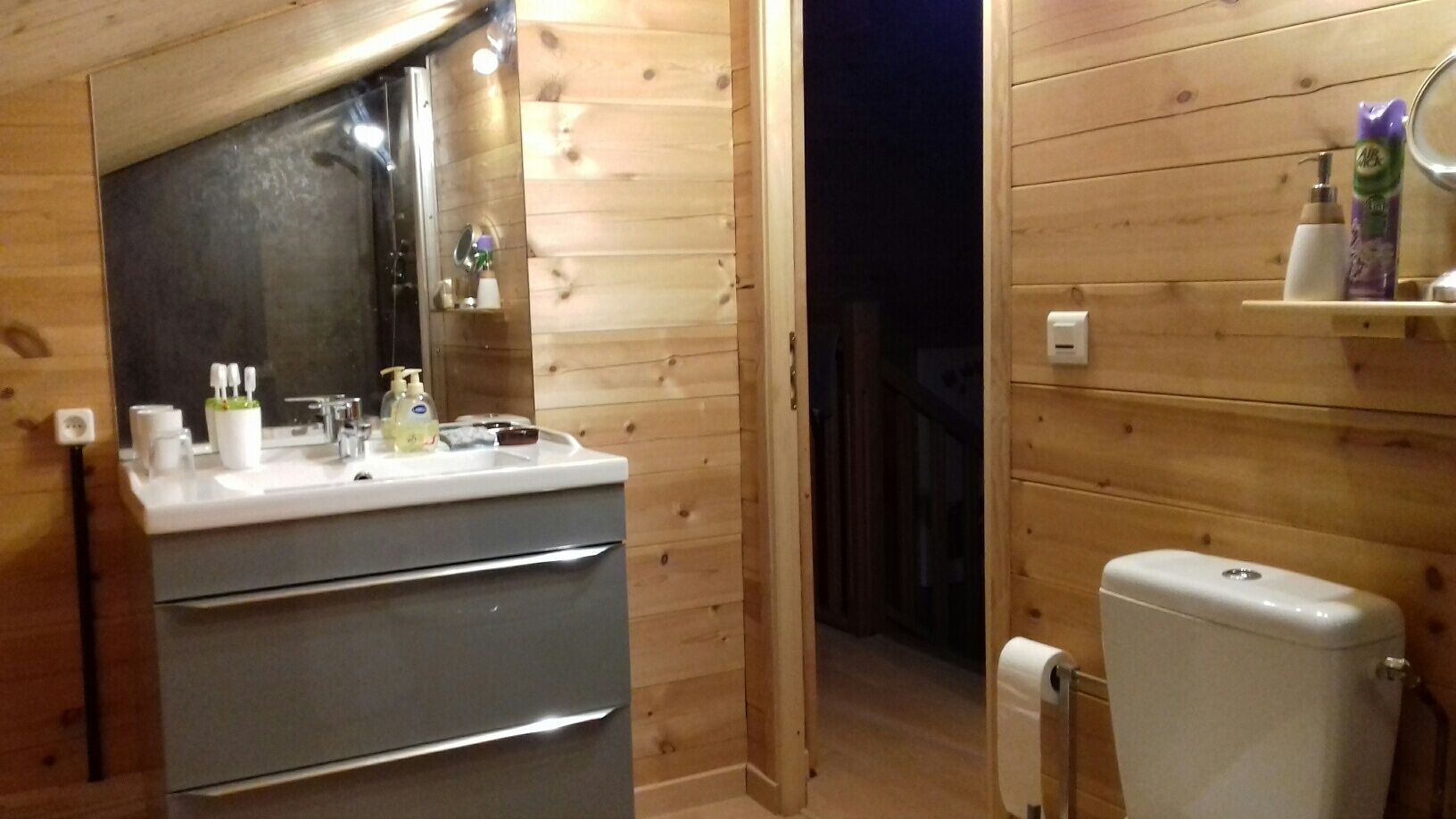 Dusche, Haartrockner, Toilettenpapier